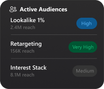 Active Audiences